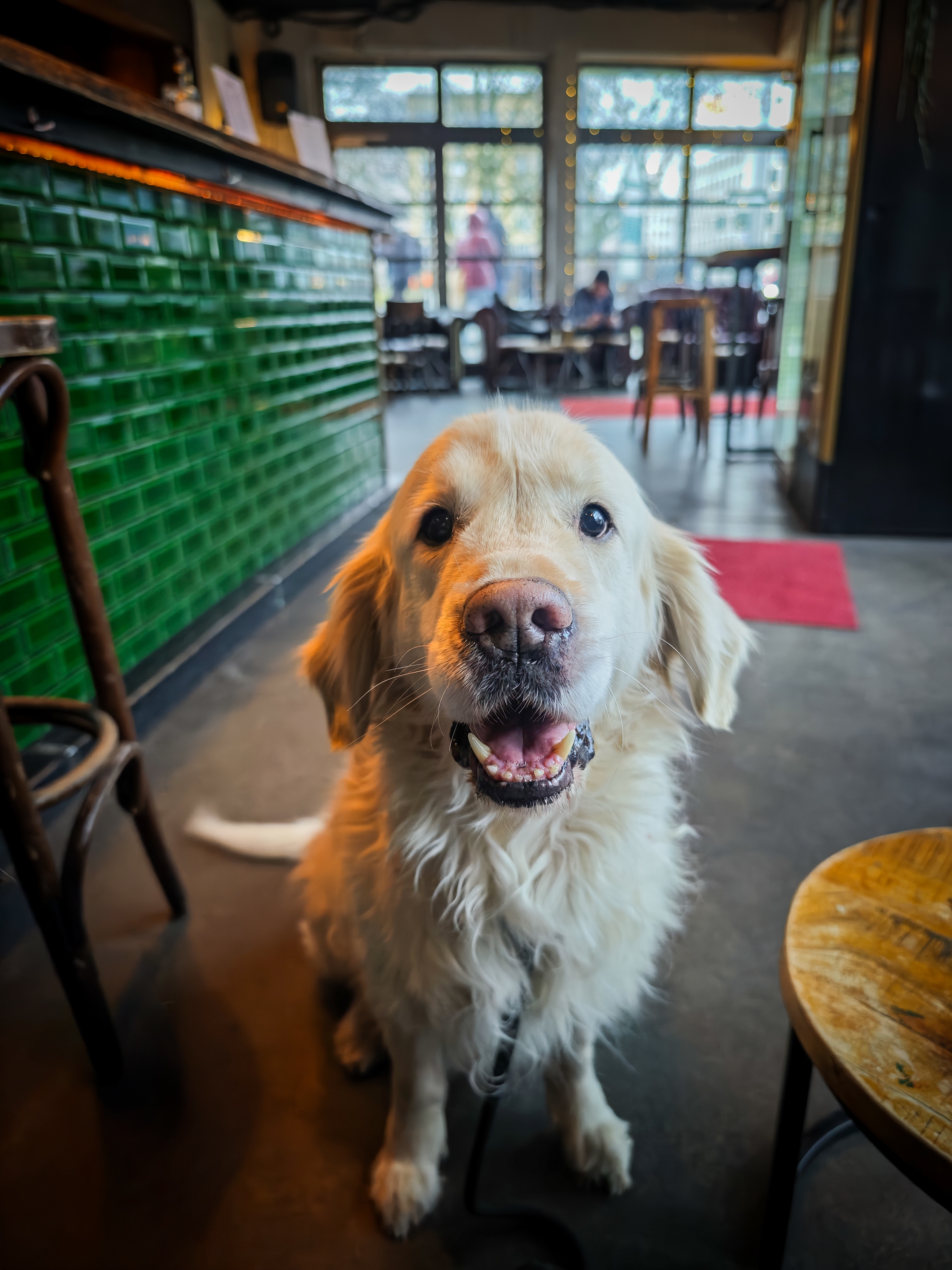 Dog-friendly guests at The CASTLE Pub Berlin